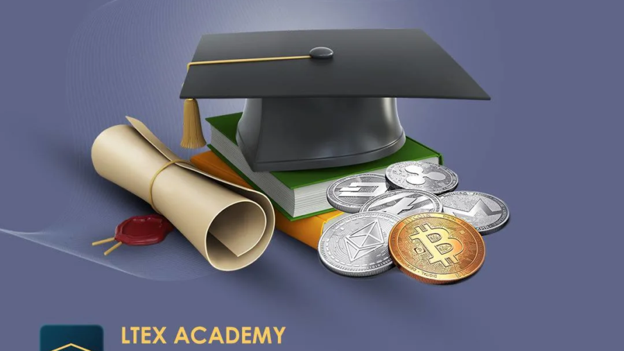 LTEX Academy